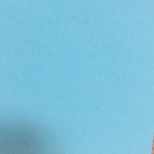 Meet your Posher, Bonnie